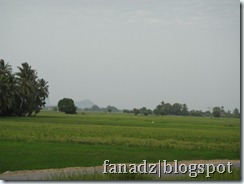 DSC07058