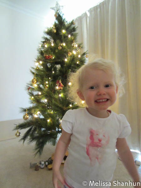 [20111203%2520Christmas%2520Tree%252005%255B7%255D.jpg]