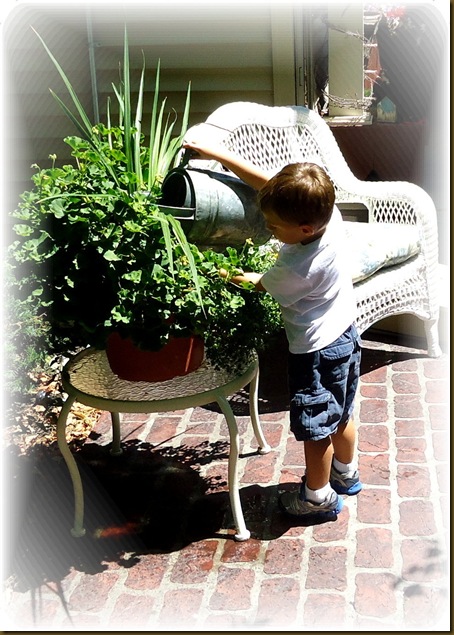 Watering plants 1