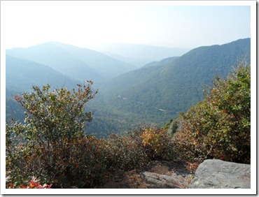 chimney-tops