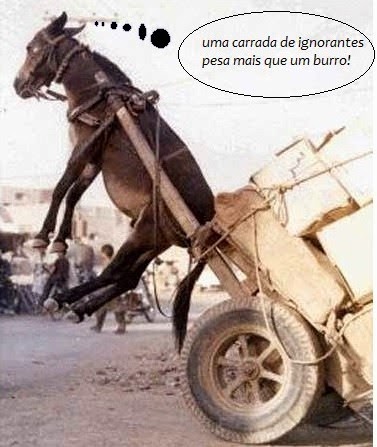 [leitura%255B5%255D.jpg]