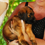 Abi - DSC_0194.jpg