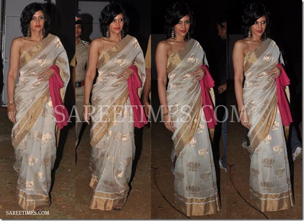 Mandira_Bedi_Designer_Saree