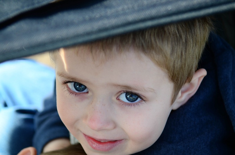 [spring%2520walk9%255B4%255D.jpg]