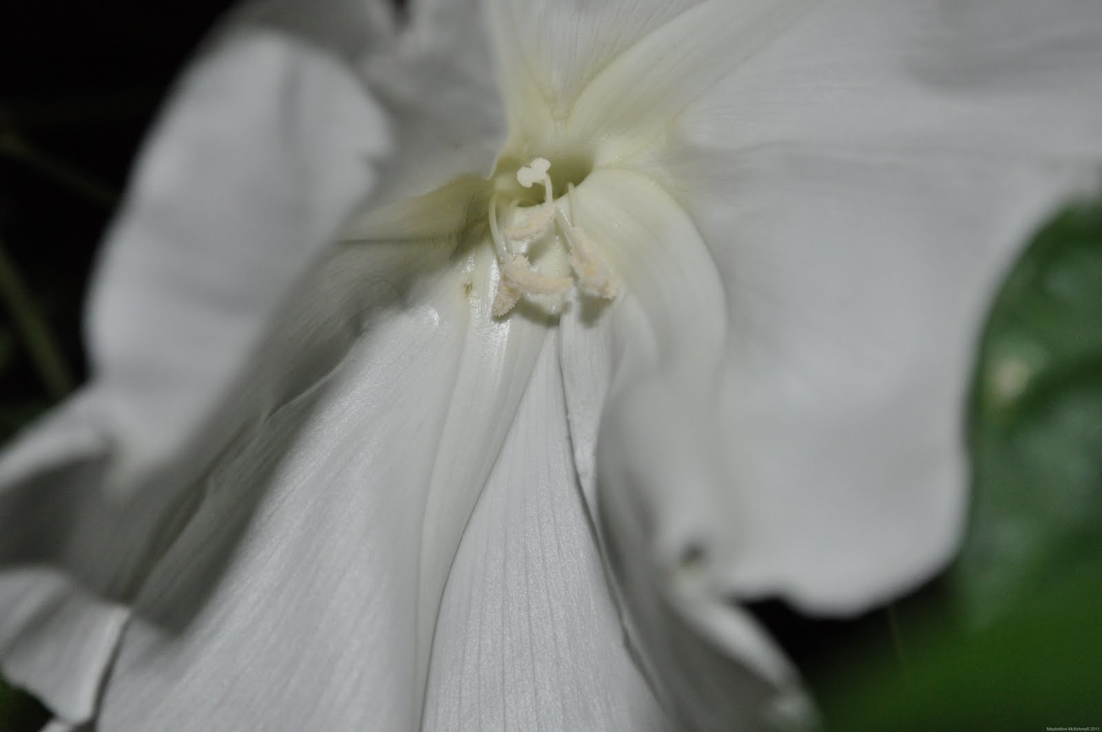 [DSC_2223_6987%255B8%255D.jpg]