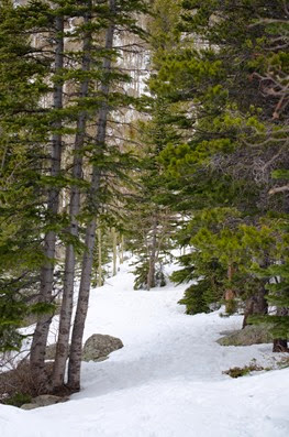Bear Lake Trail-11