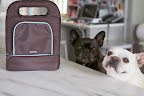 Before leaving, we packed up supplies in the Doggie Day Care Kit.