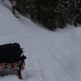 2012 - Mariandlalm
