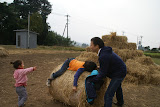 DSC01716.JPG