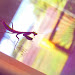 http://dano-dna.com/artshop/nggallery/post/various-art/album-9/gallery-10/
