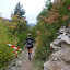 2011 - Templiers - Montmejean