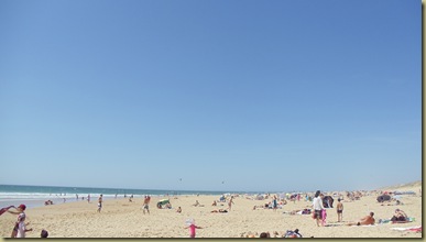 DSC05505 DSC05505
