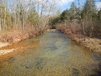 DSCN1832temp.JPG