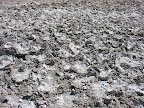 DSCN6780.JPG