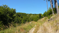 P1110963.JPG
