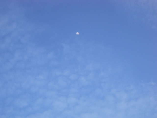 [DSC021884.jpg]