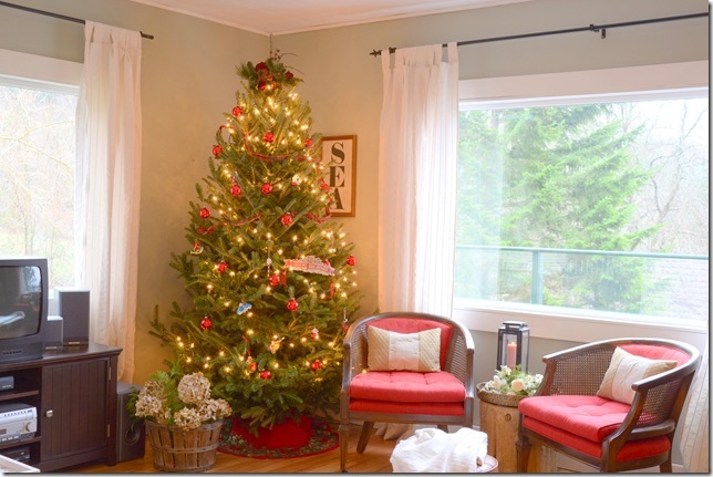 tree and chairs