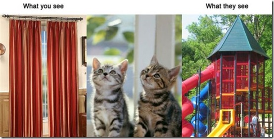 what-you-see-animals-60ba2d