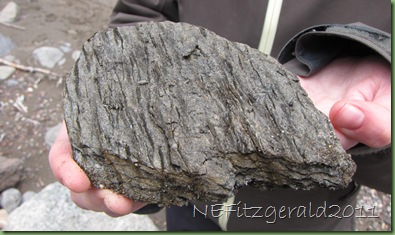 LooksLikePhyllite LooksLikePhyllite