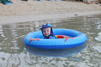 Oscar swimming at the beach