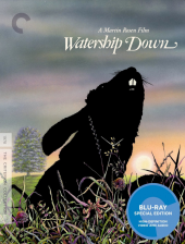 Watership Watership