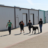 DSC_2765.JPG