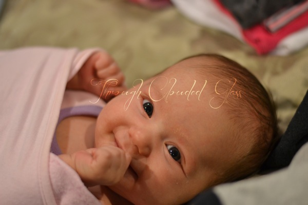 DSC_0106blog.jpg DSC 0106blog
