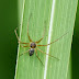 P1290886