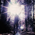 DSCN4365.JPG