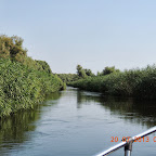 DSCN4597.JPG