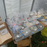 Exterior Finishes