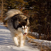 Lorette Ponds Run (16).jpg