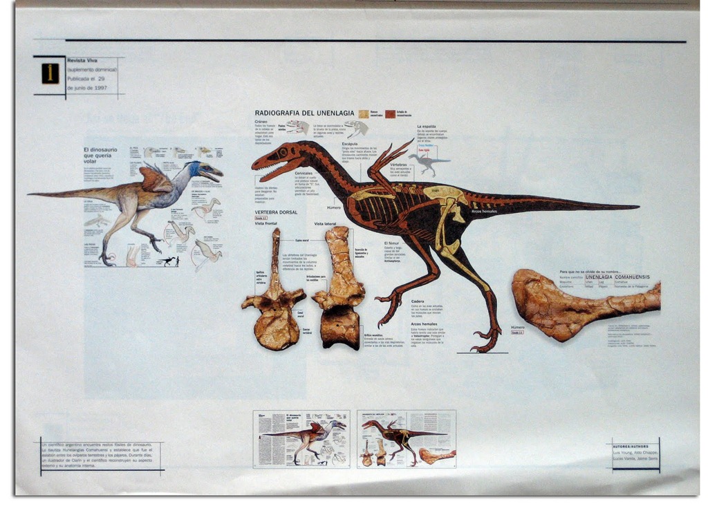 [dinosaurios%2520patagonia2%255B4%255D.jpg]