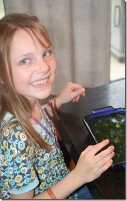 IMG_4250 IMG_4250