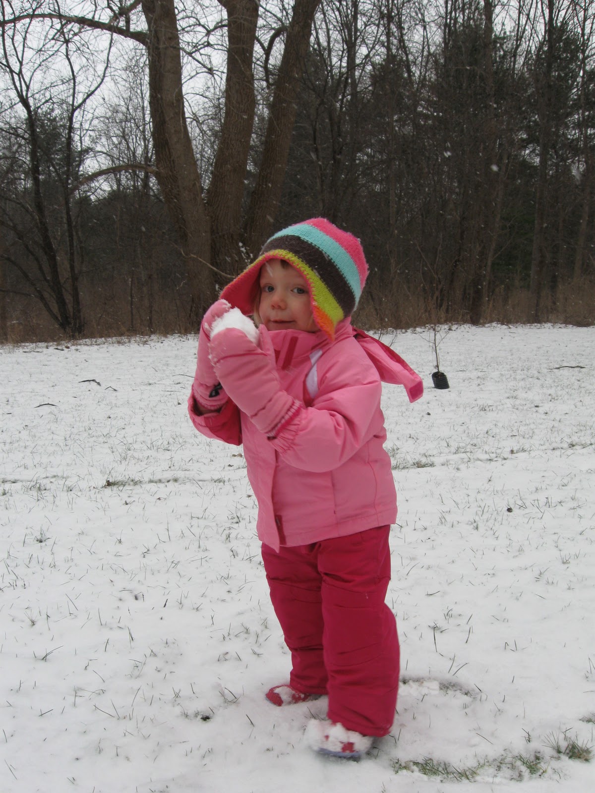 [IMG_0738%255B8%255D.jpg]