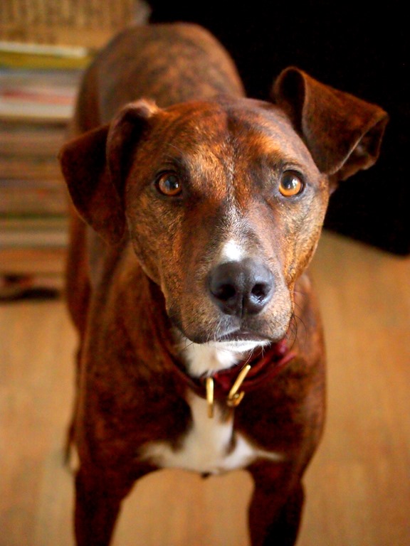 [10%2520June%25205%252009-06-2013%252010-27-42%255B7%255D.jpg]