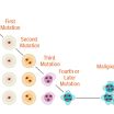 GeneticCauseHereditary.png