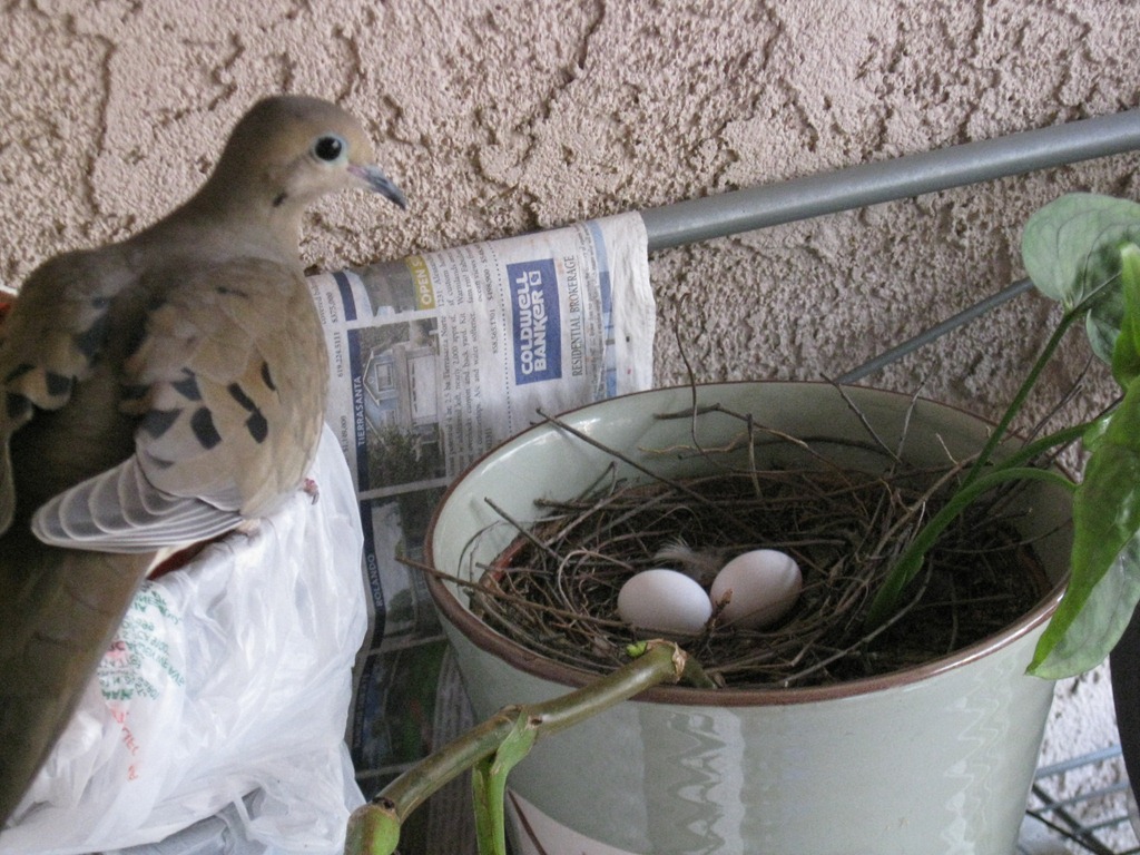 [IMG_8336%255B5%255D.jpg]