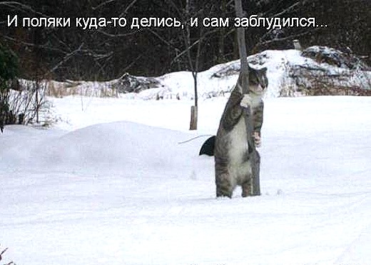 [b53dedde1f6ccb17beff1f903bd_prev%255B7%255D.jpg]