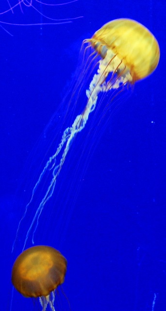 [DSC_5474%255B4%255D.jpg]