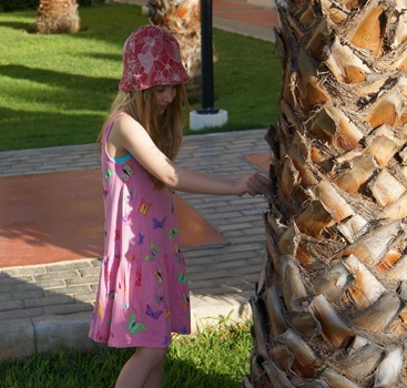 DSC00450 DSC00450