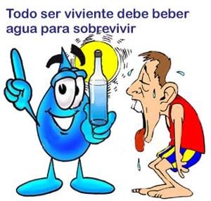importancia del agua importancia del agua