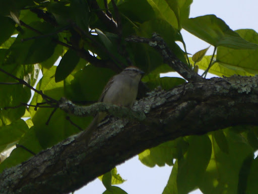 P1060145