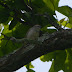P1060145