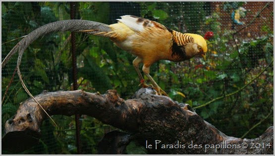 IMG_9349 IMG_9349