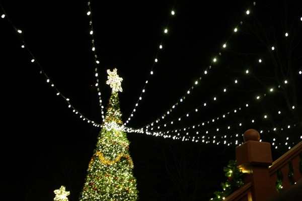 Christmas Town! 055