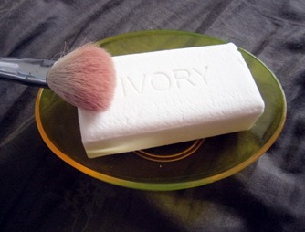 ivory and brush, bitsandtreats