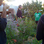 photos from the iphone 2010 549.jpg