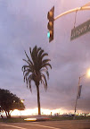 DSC00009_radMod.jpg