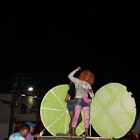  Carnaval_Cantanhede_Bloco_Cana_Limao_2012